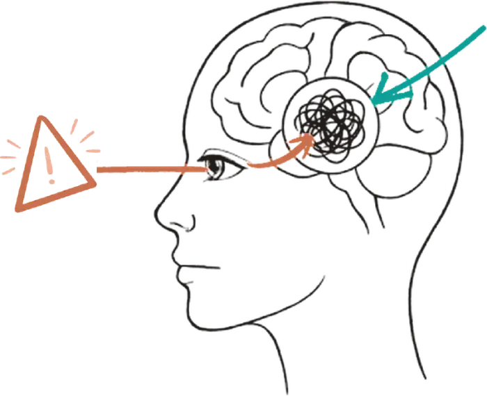 El trauma queda almacenado en el cerebro como un recuerdo enmarañado sin digerir; una situación cotidiana lo activa y se revive con emociones muy intensas